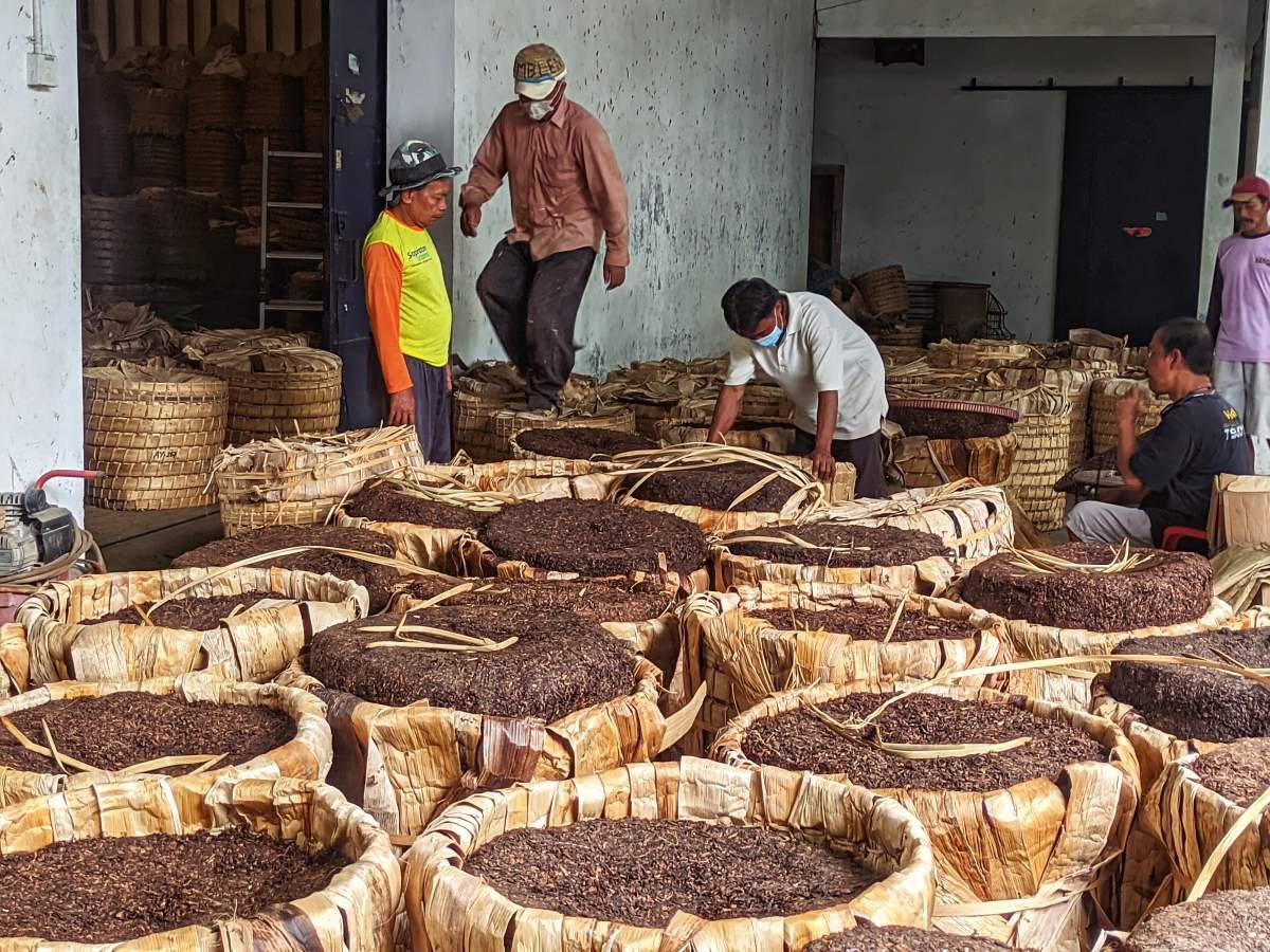 Aktivitas gudang tembakau dimasa panen
