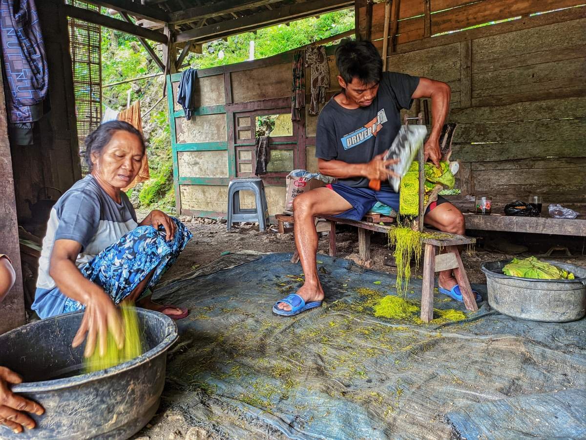 Aktivitas merajang tembakau di Padukuhan Gading, Gunungkidul