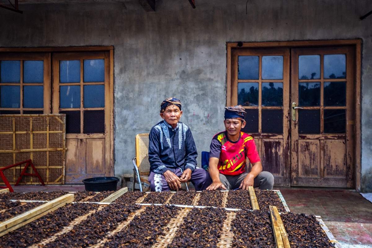 Anak dan Bapak di depan jemuran tembakau di Lereng Sumbing