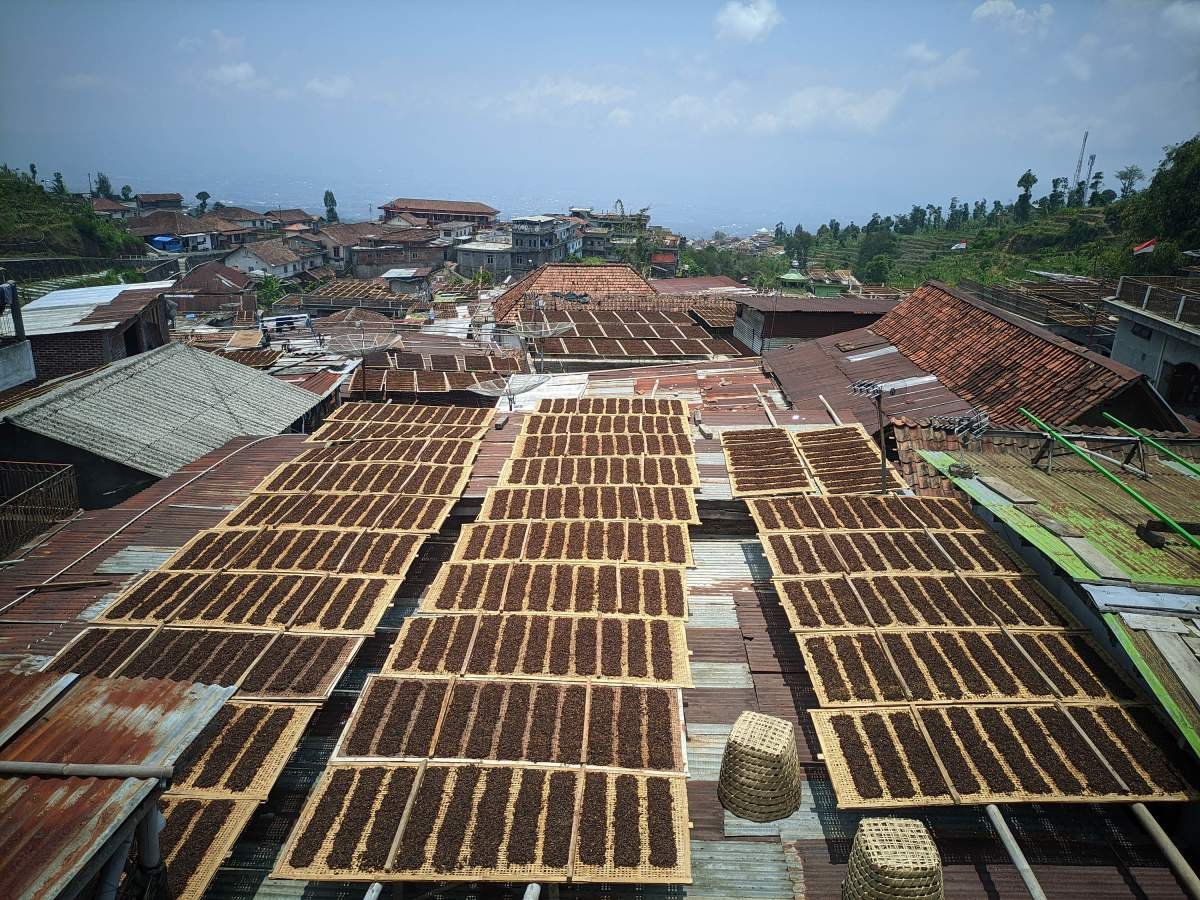 Atap Rumah di Dusun Lamuklegok, Temanggung