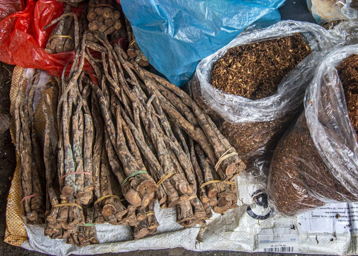 Batang Klembak sebagai campuran kretek tradisional