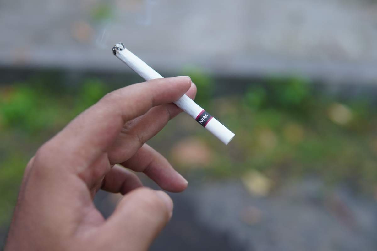 Batang Rokok Win Bold