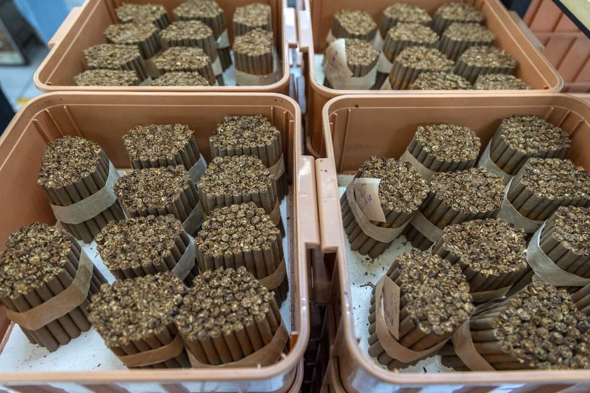 Batangan Kretek Djaru Coklat Extra Moca