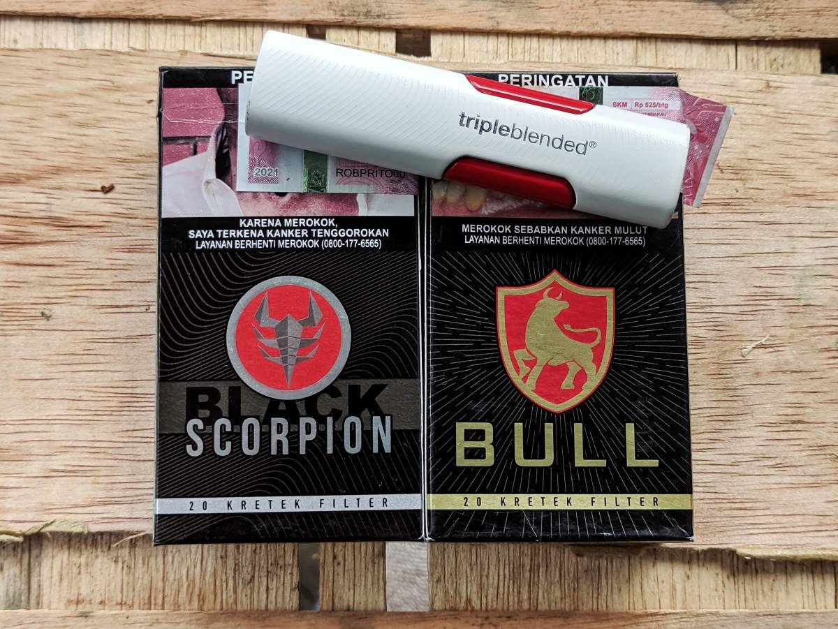 black scorpion dan bull