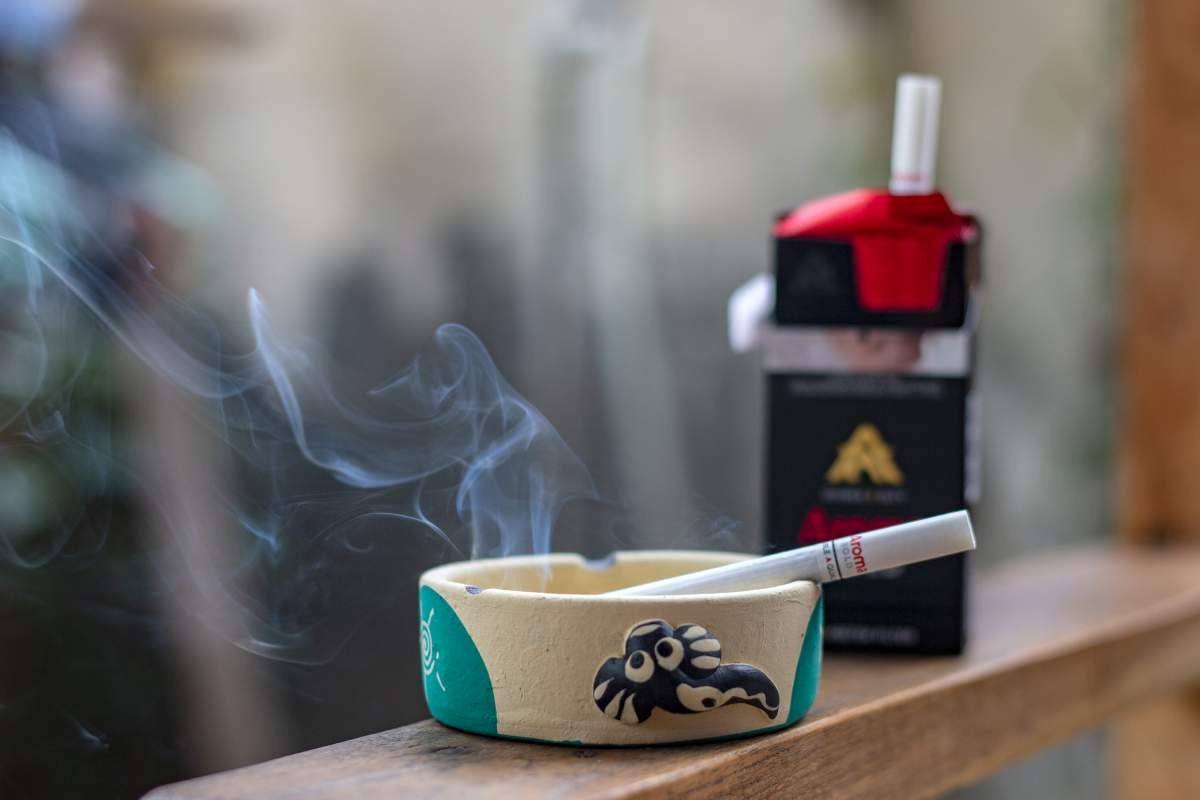 bold by aroma