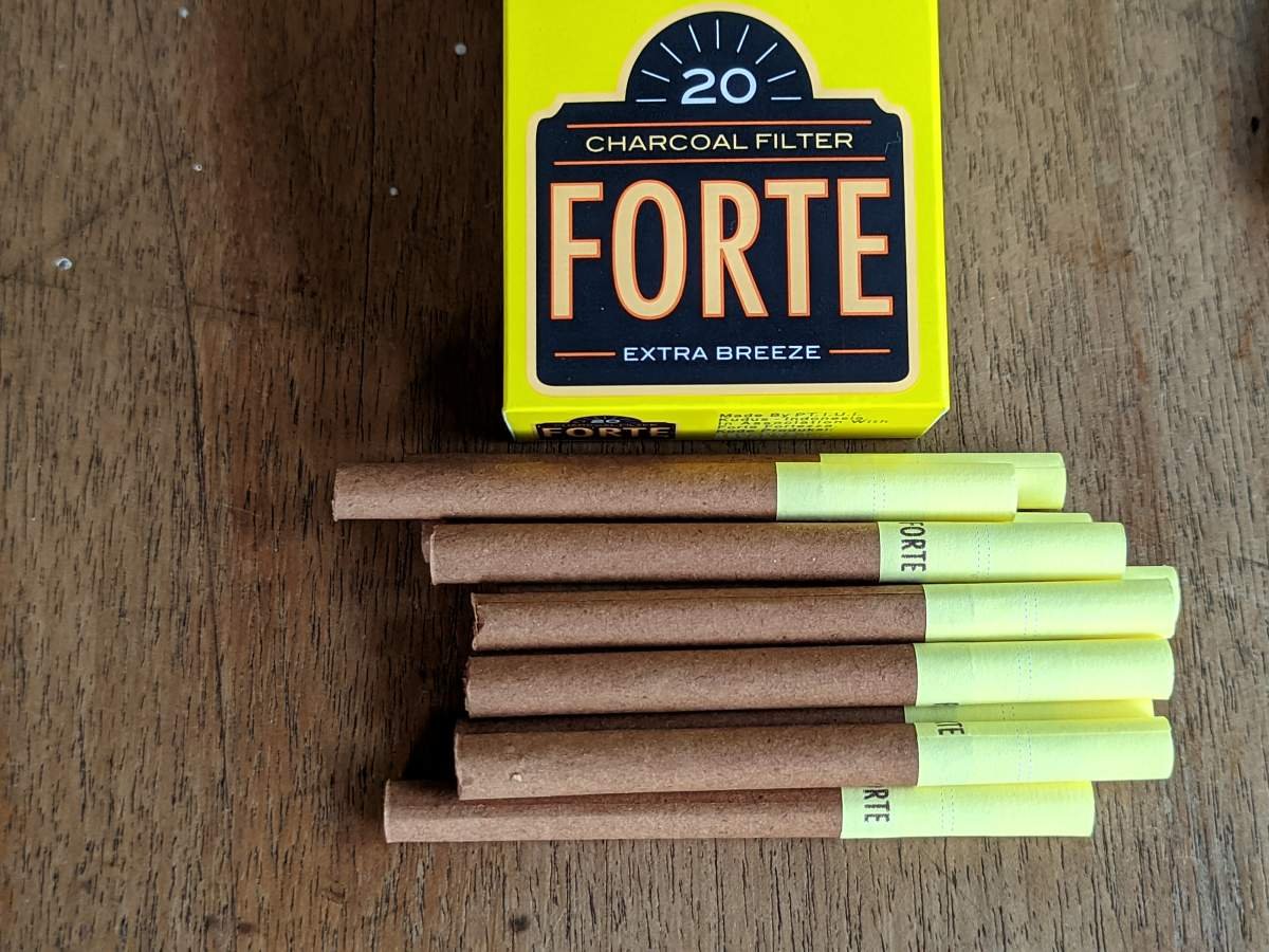 carcoal filter by forte