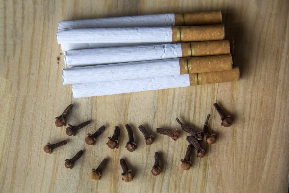Cengkeh dan Kretek