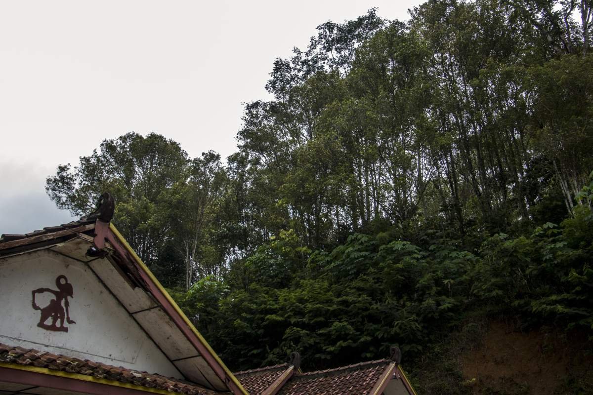 Cengkeh Di Menoreh