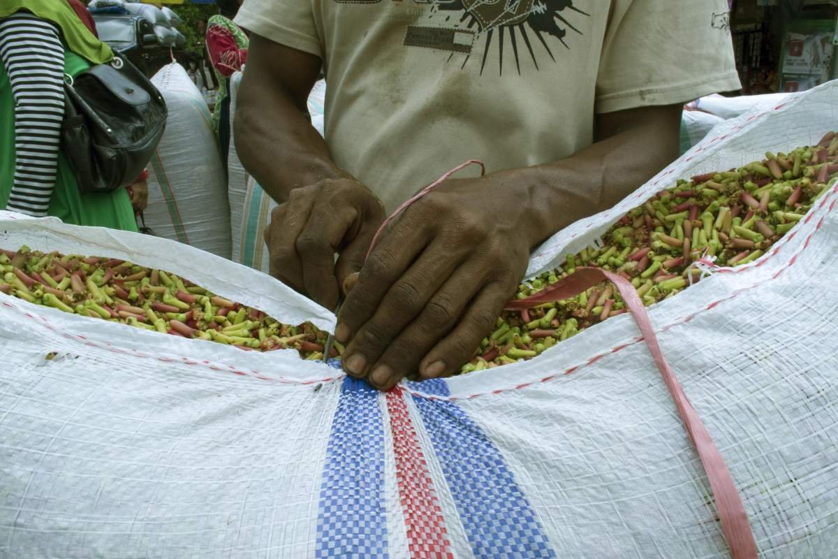 Cengkeh hasil panen di Maluku