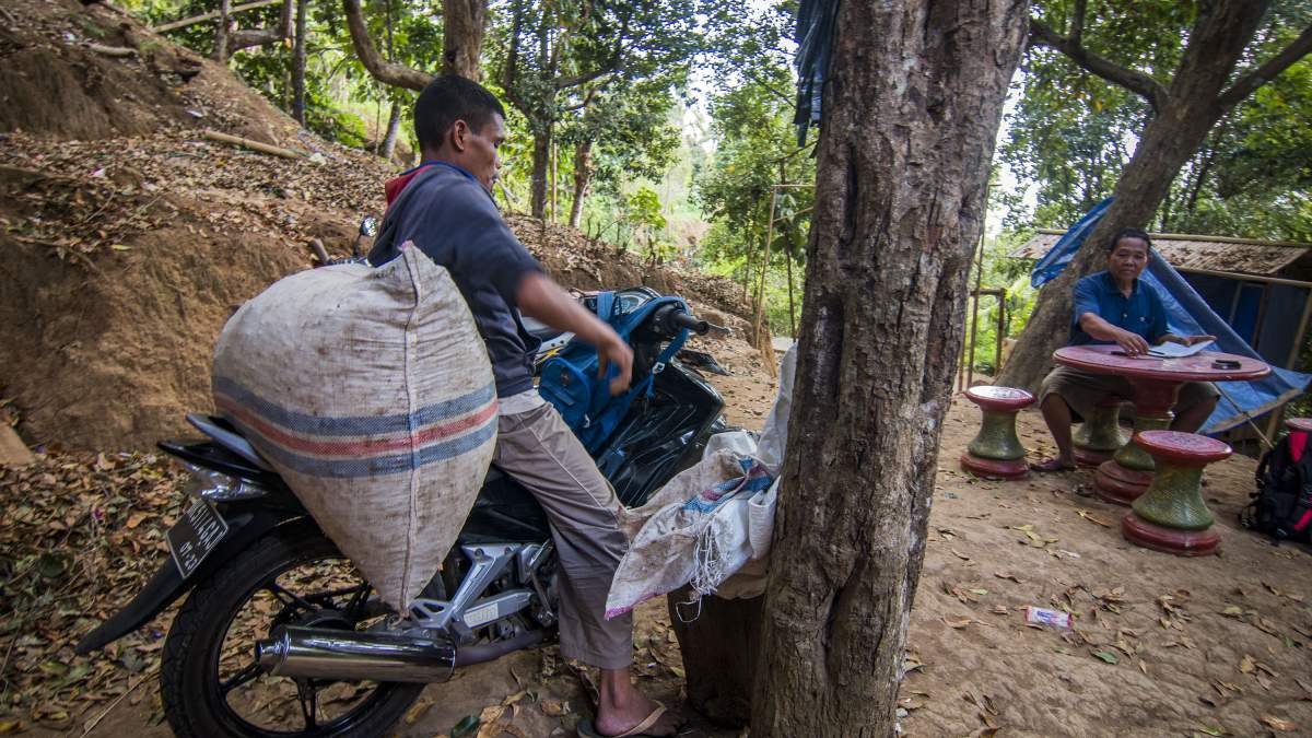 Cengkeh hasil petik siap ditimbang di Desa Munduk, Bali