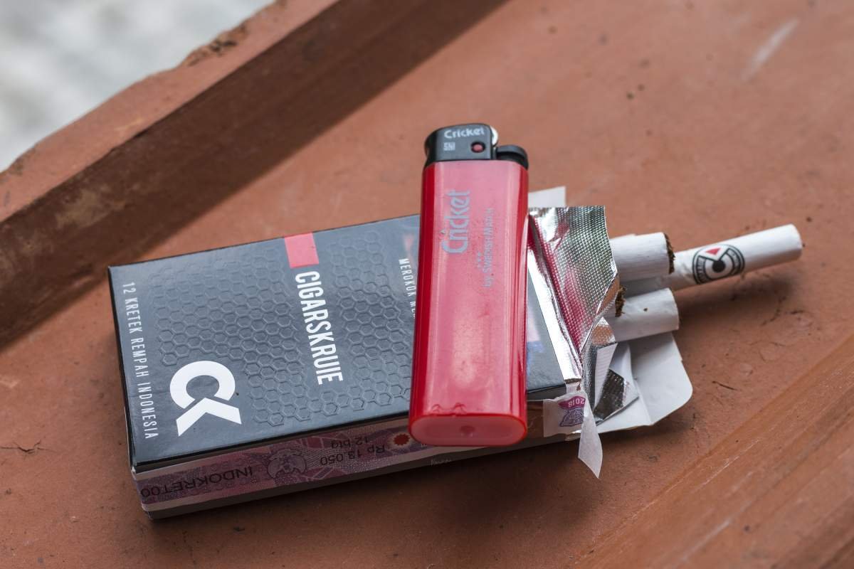 cigar krui