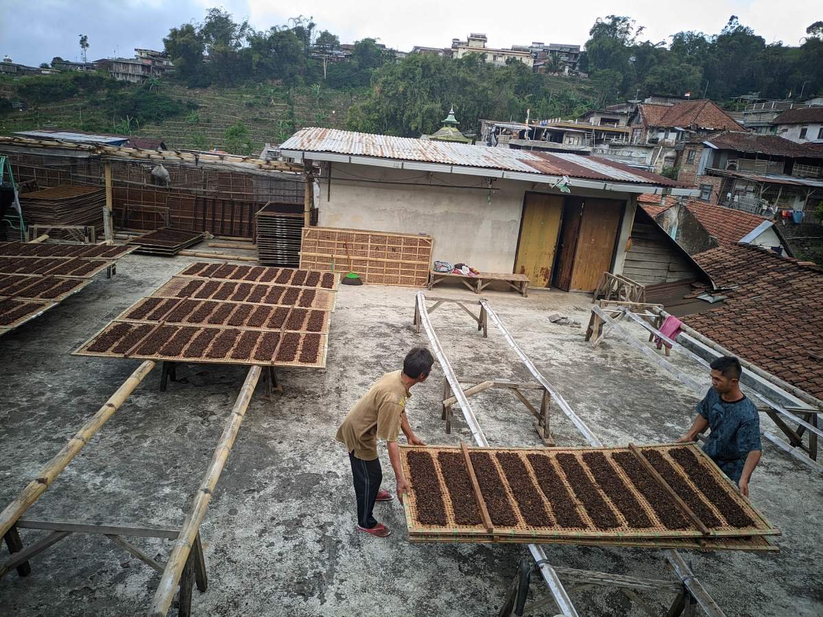 Desa DI Lereng Sumbing