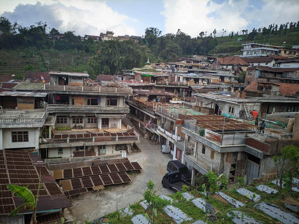 Desa petani tembakau di temanggung