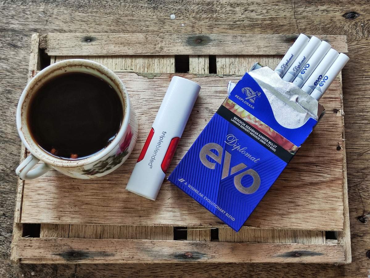 diplomat evo skm mild