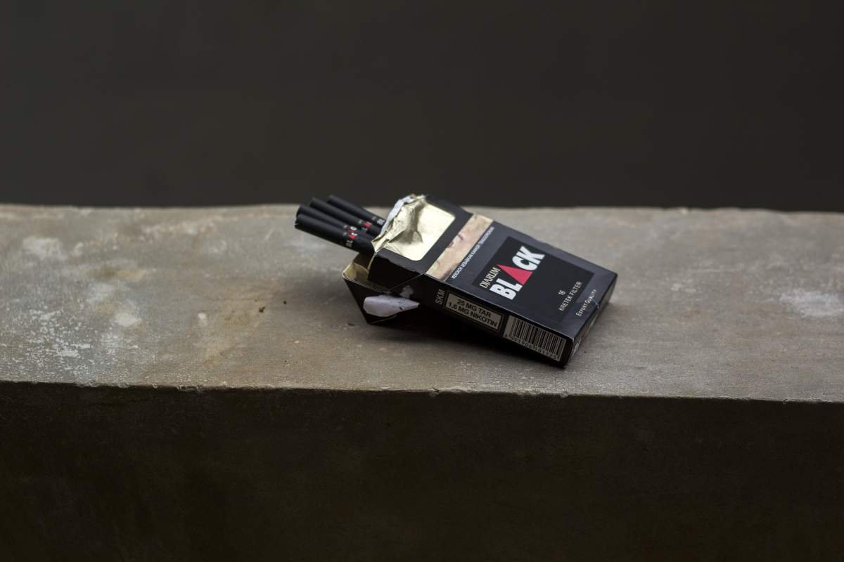 djarum black mild by djarum kudus