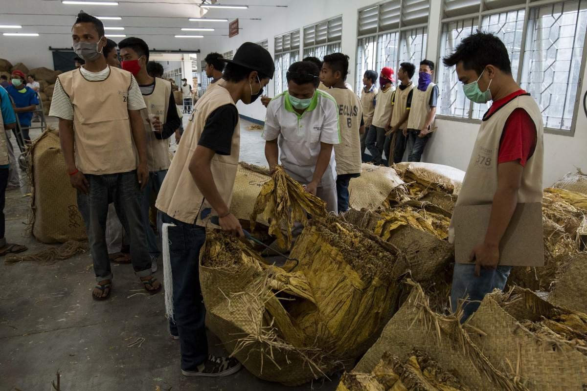 Gudang tembakau Virginia Desa Montong Gamang, Lombok
