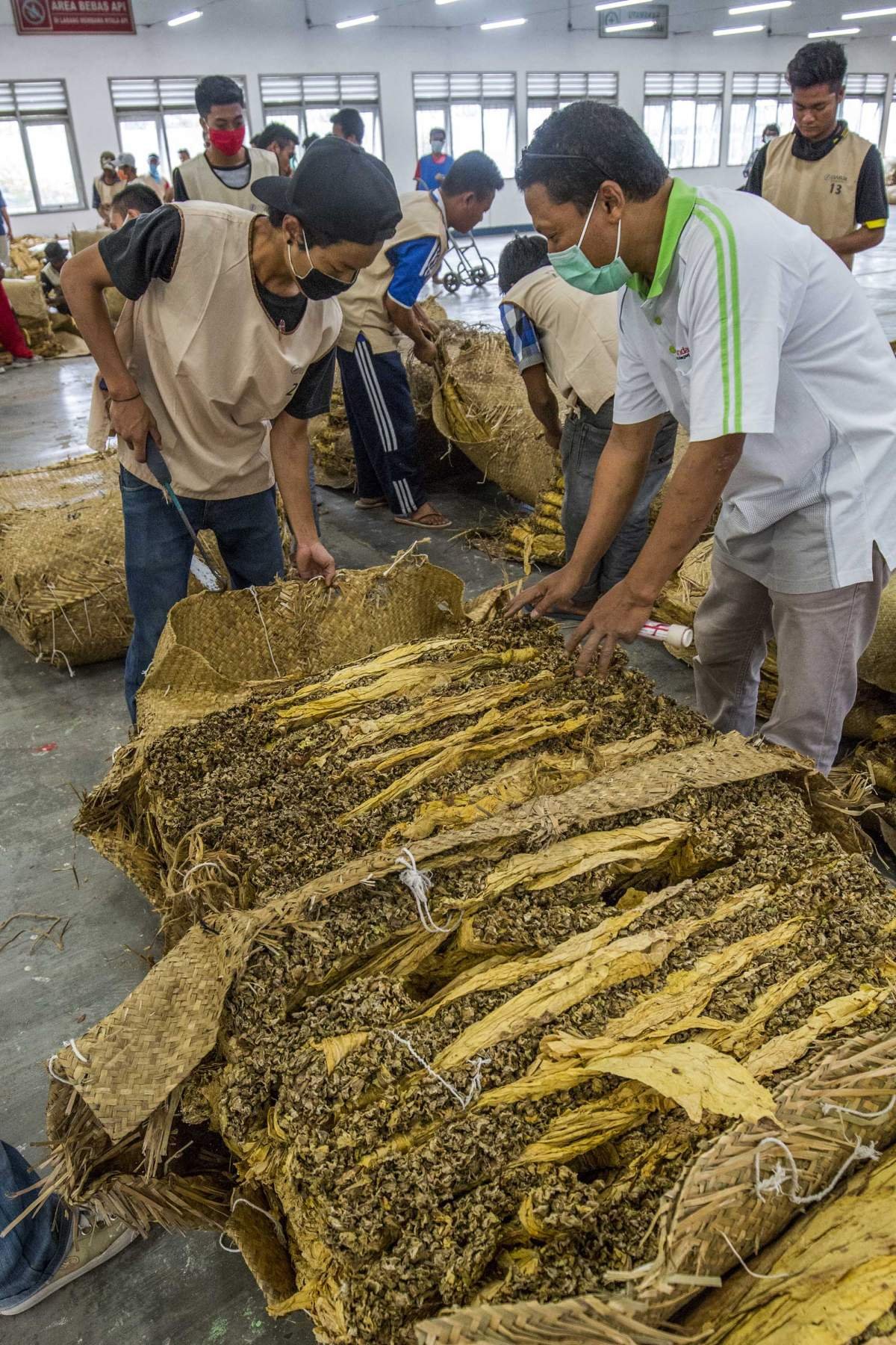 Gudang Tembakau Virginia Lombok