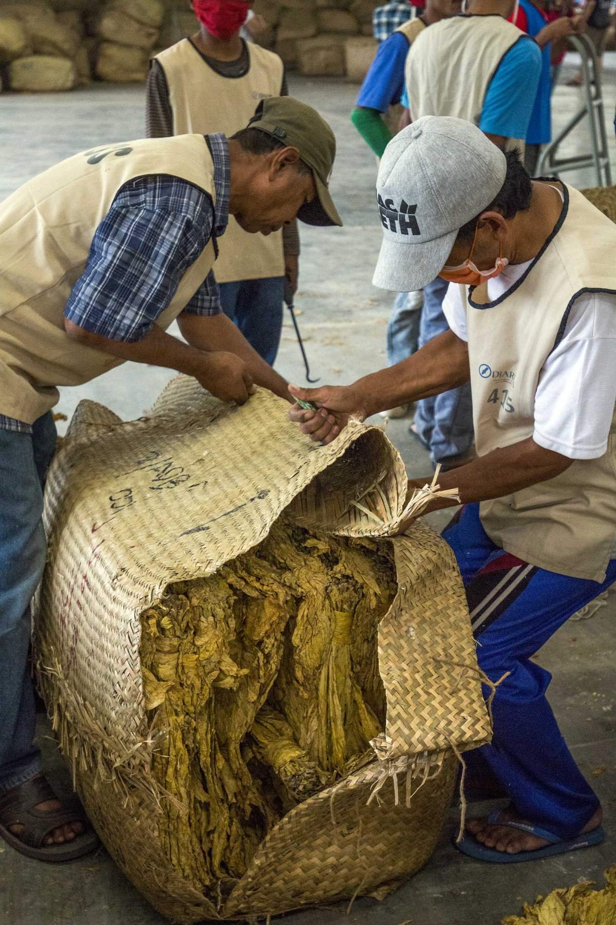 Gudang Tembakau Vurginia di Lombok