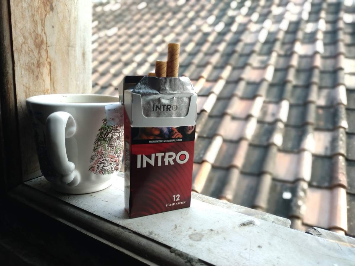 intro 12 kretek filter