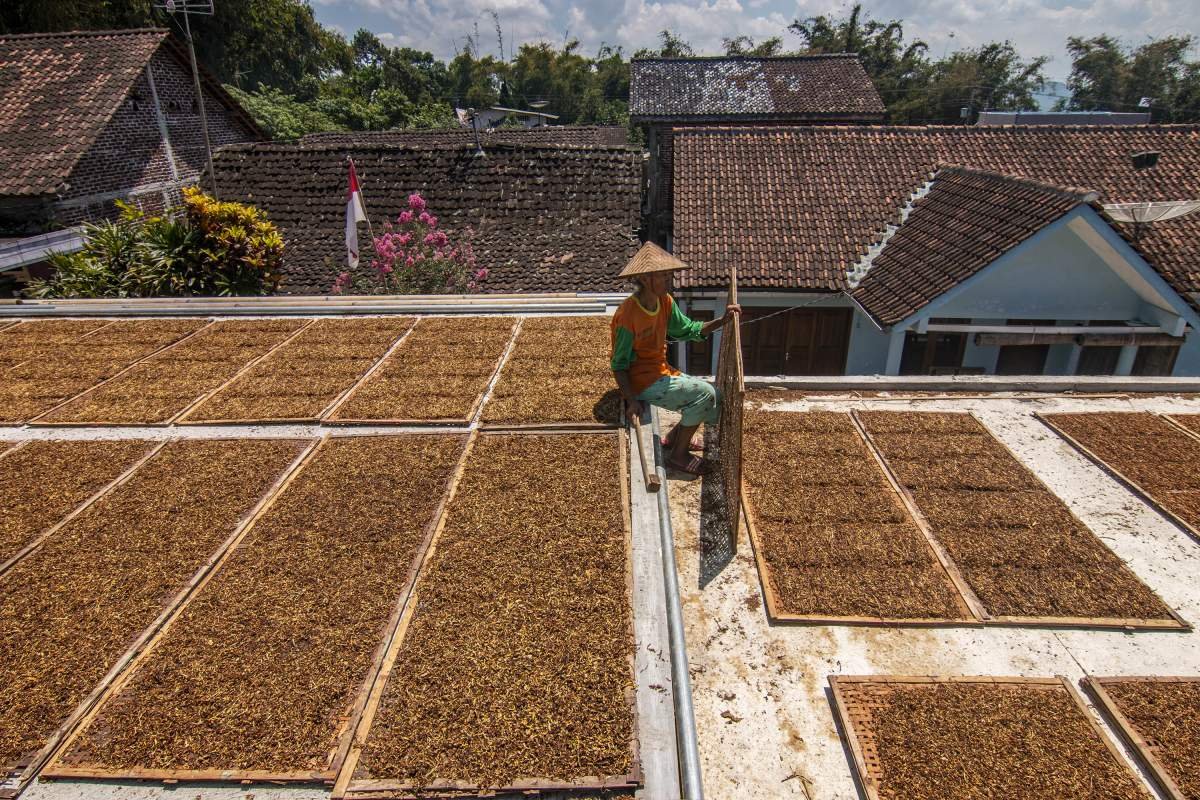 Istirahat sejenak di atas Dak Rumah