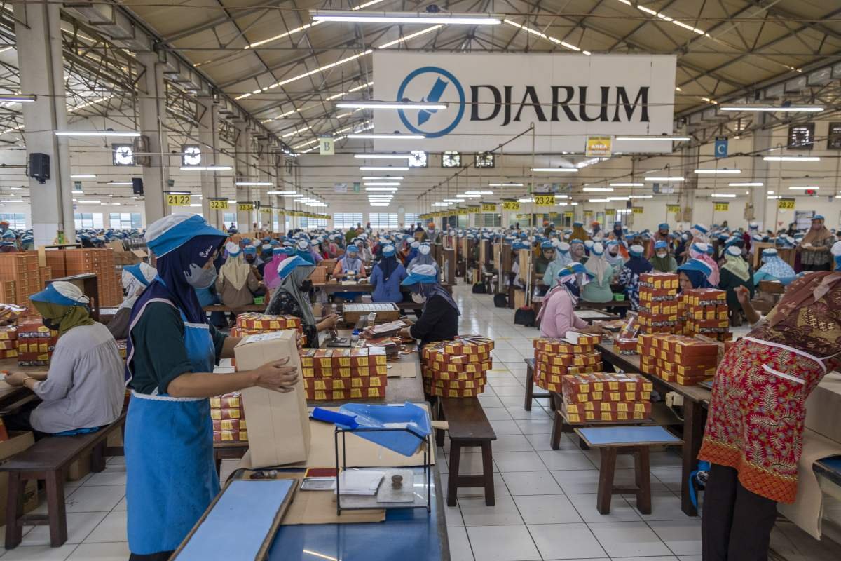 Juru packing Djarum Coklat