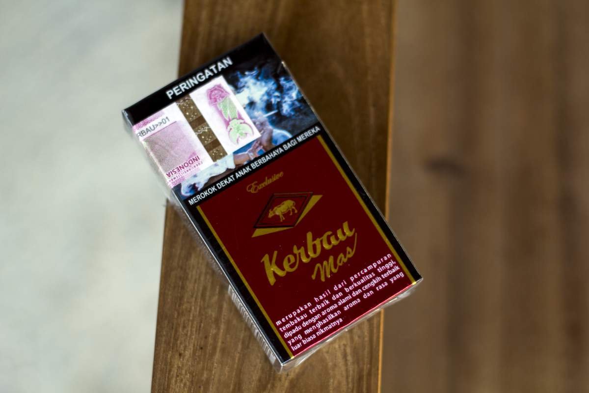 kerbau mas exclusive