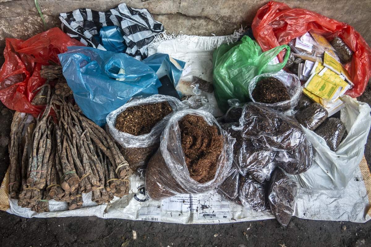 Klembak Sebagai Pelengkap Tembakau Tingwe