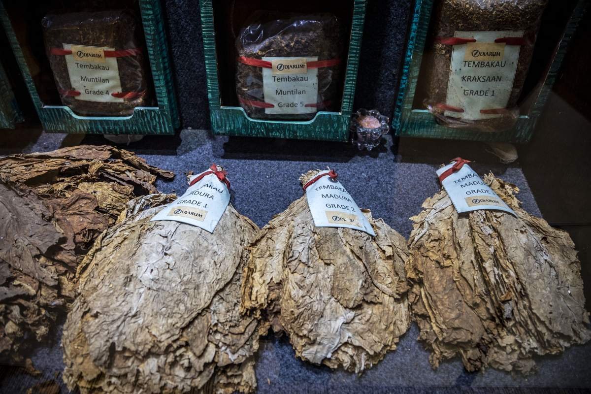 Koleksi tembakau Museum kretek Kudus