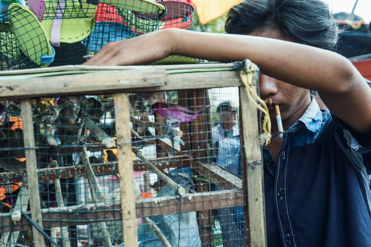Kretekus di pasar tradisional