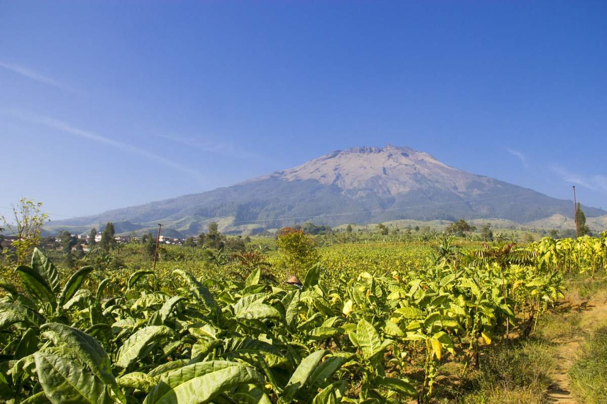 Lanskap Sumbing dari Desa Wonosari, Kecamatan Bulu, Temanggung