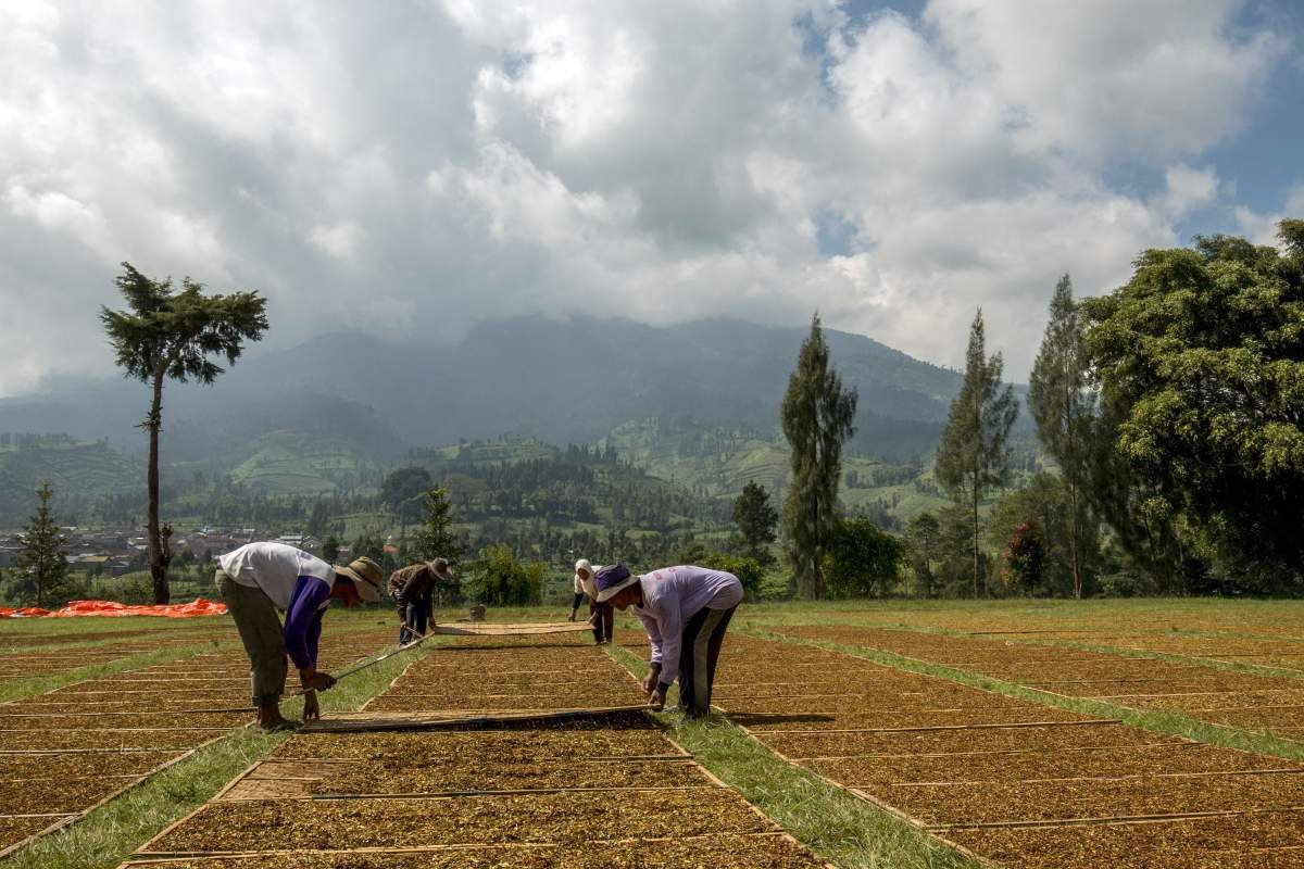 Lapangan Kledung pagi hari