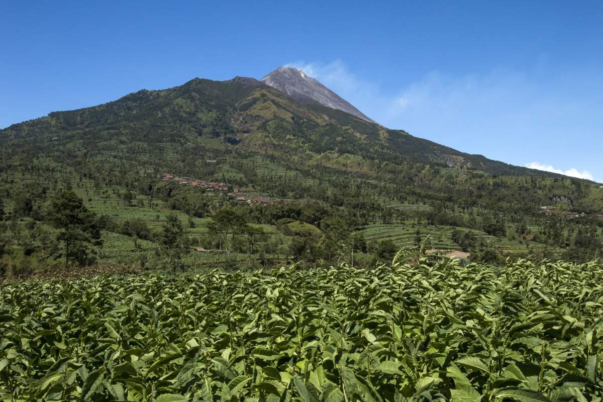 Lembah Merbabu