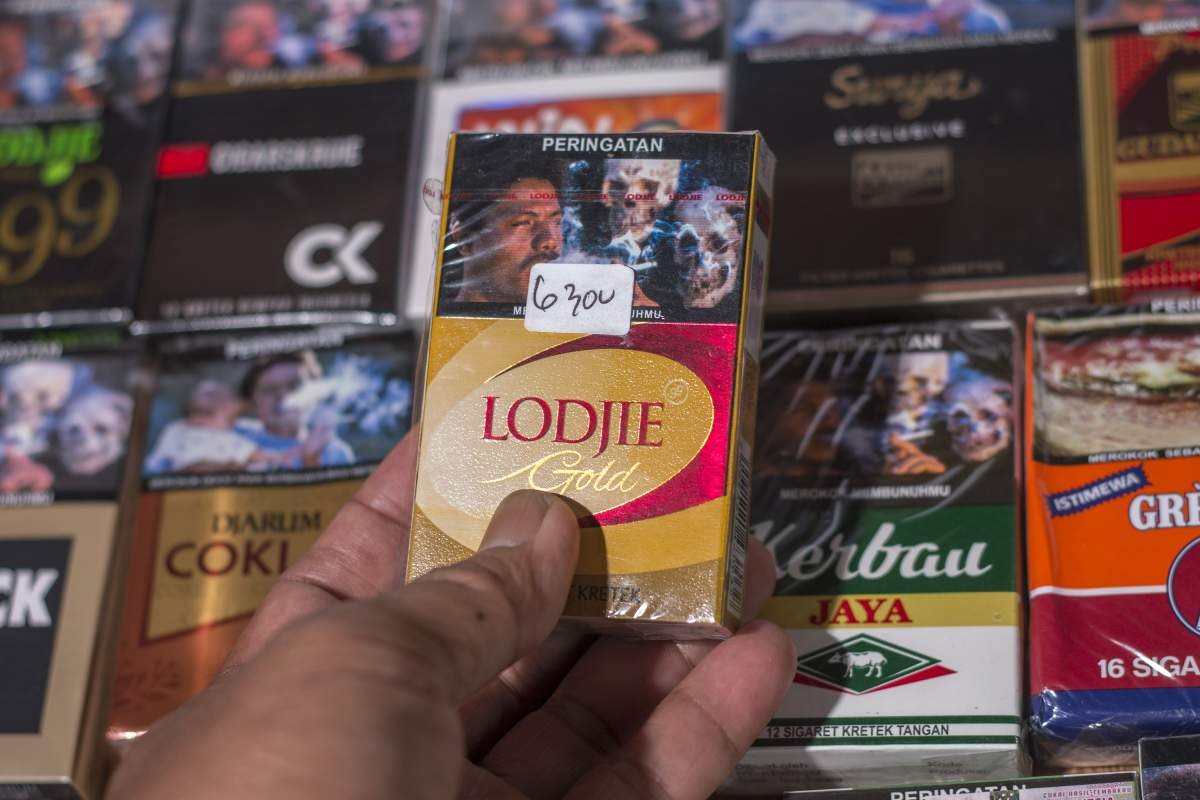 lodjie gold boyolali