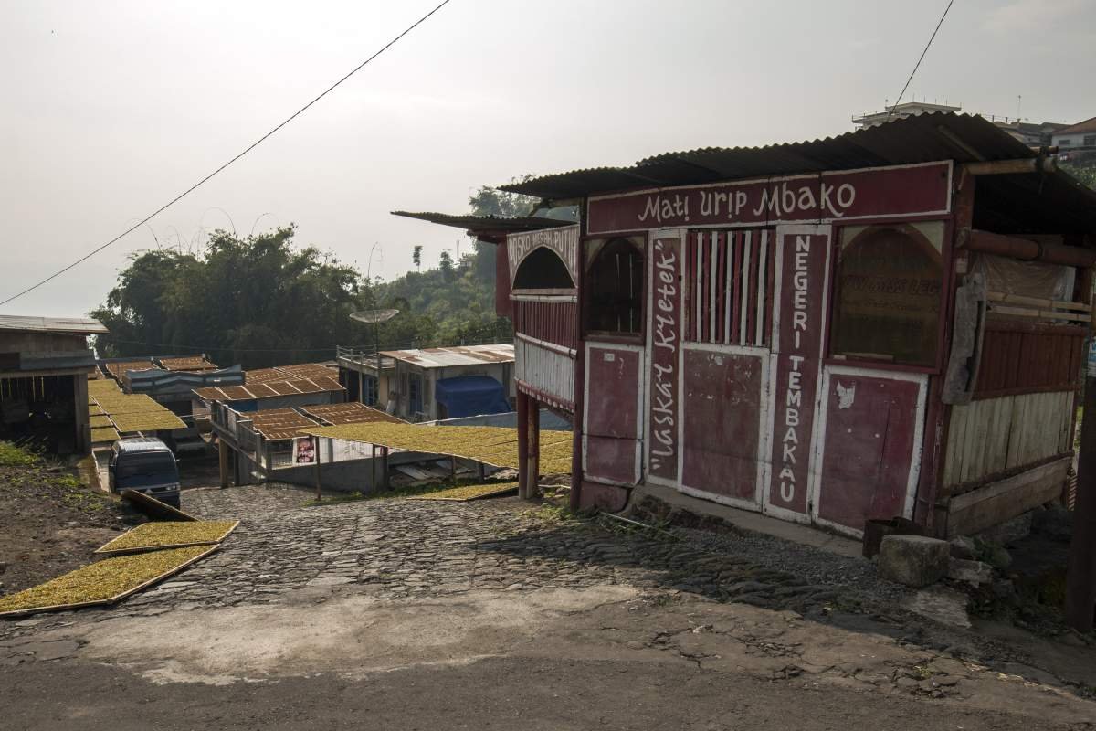 Mati Urip Mbako