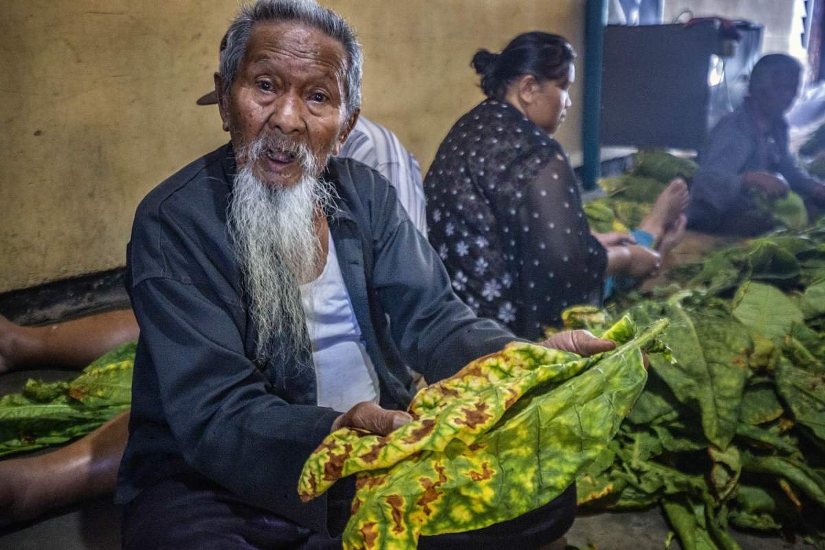 Mbah Karmin sesepuh petani Dusun Lamuklegok, Temanggung