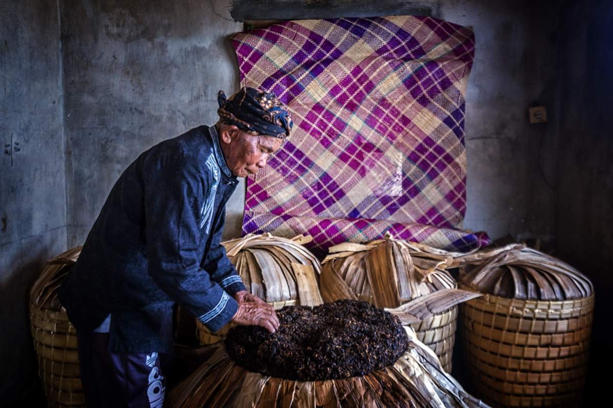 Mbah Noto Tukar Mencium Aroma Tembakau