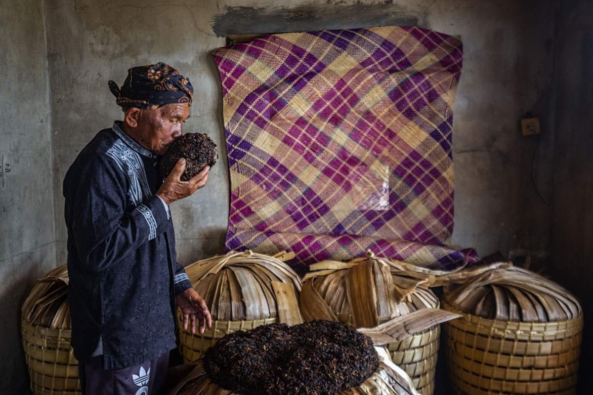 Mbah Noto Tukar menguji Aroma Tembakau di Rumahnya