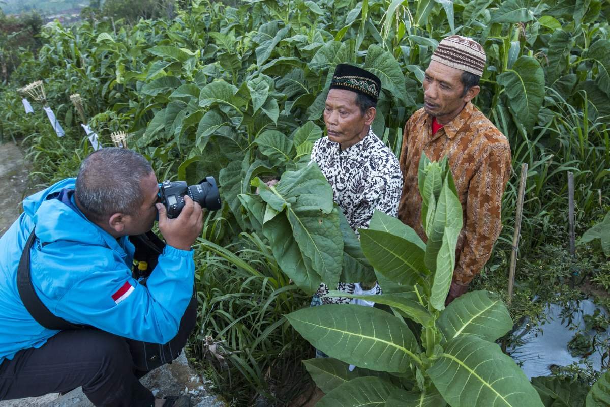 Memotret tokoh Tembakau Boyolali