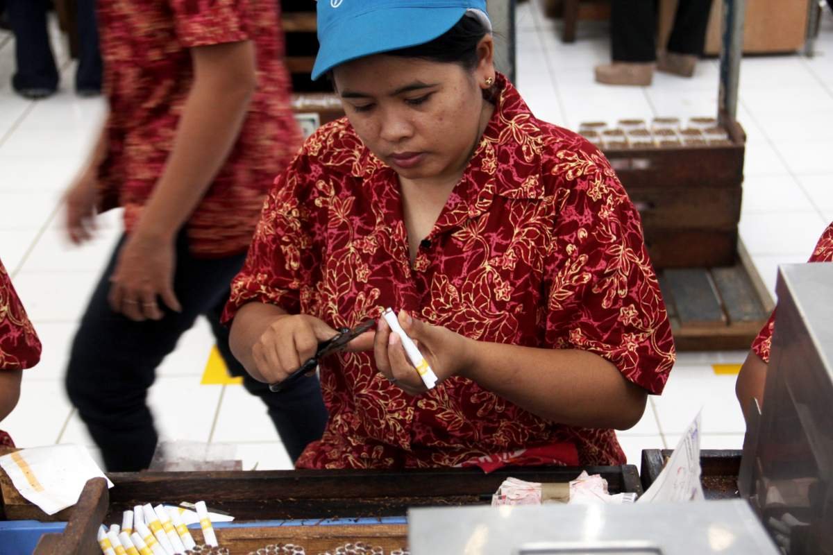 merapihkan batang rokok dalam proses produksi