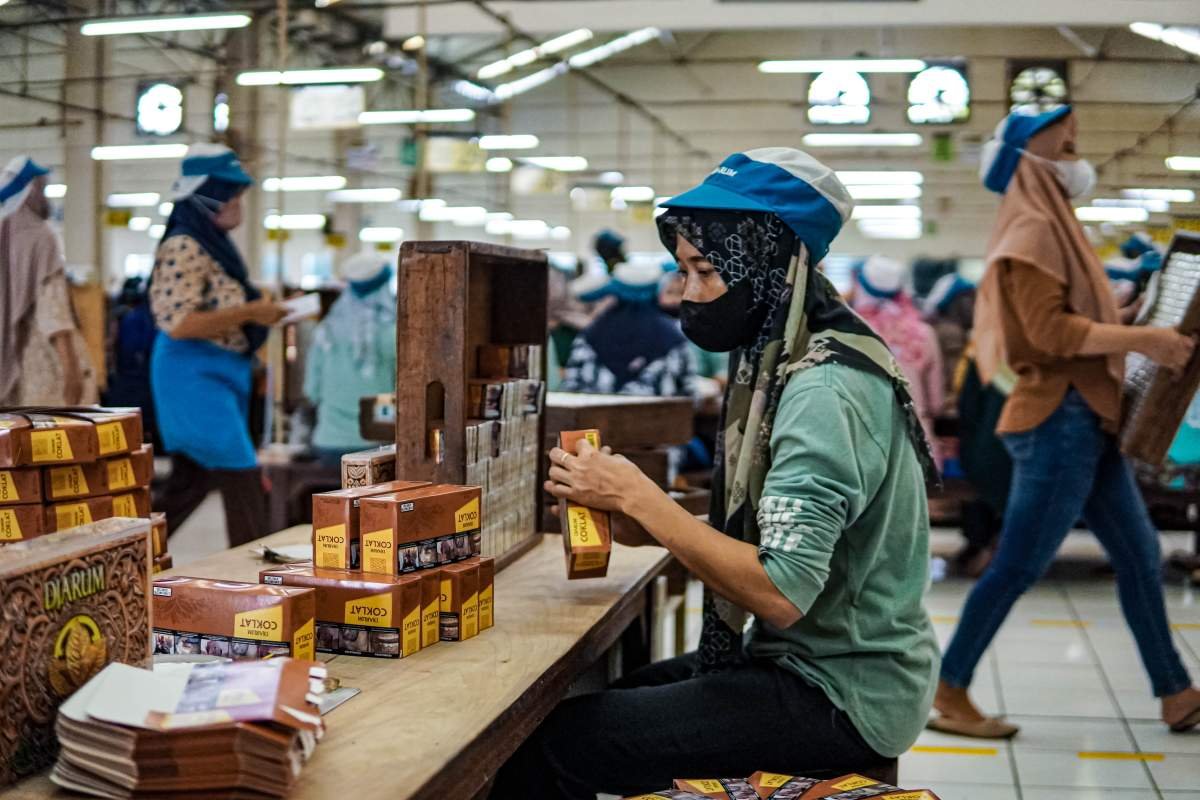 Packing Rokok Djarum Coklat ke Box