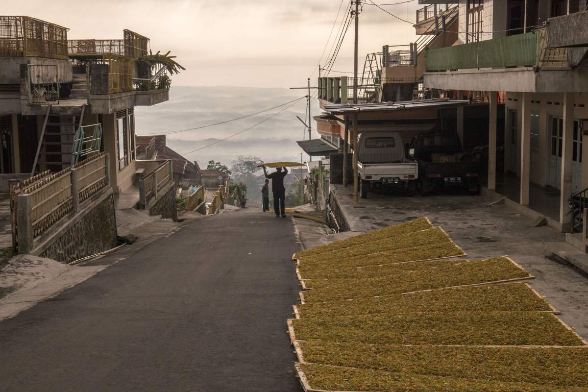Pagi di lorong jalan Desa di Temanggung