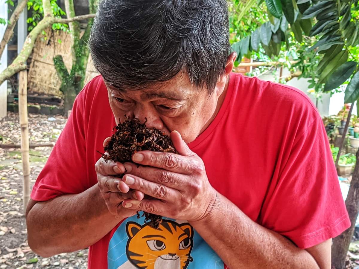 Pak Jopie Samiadji grader tembakau, temanggung