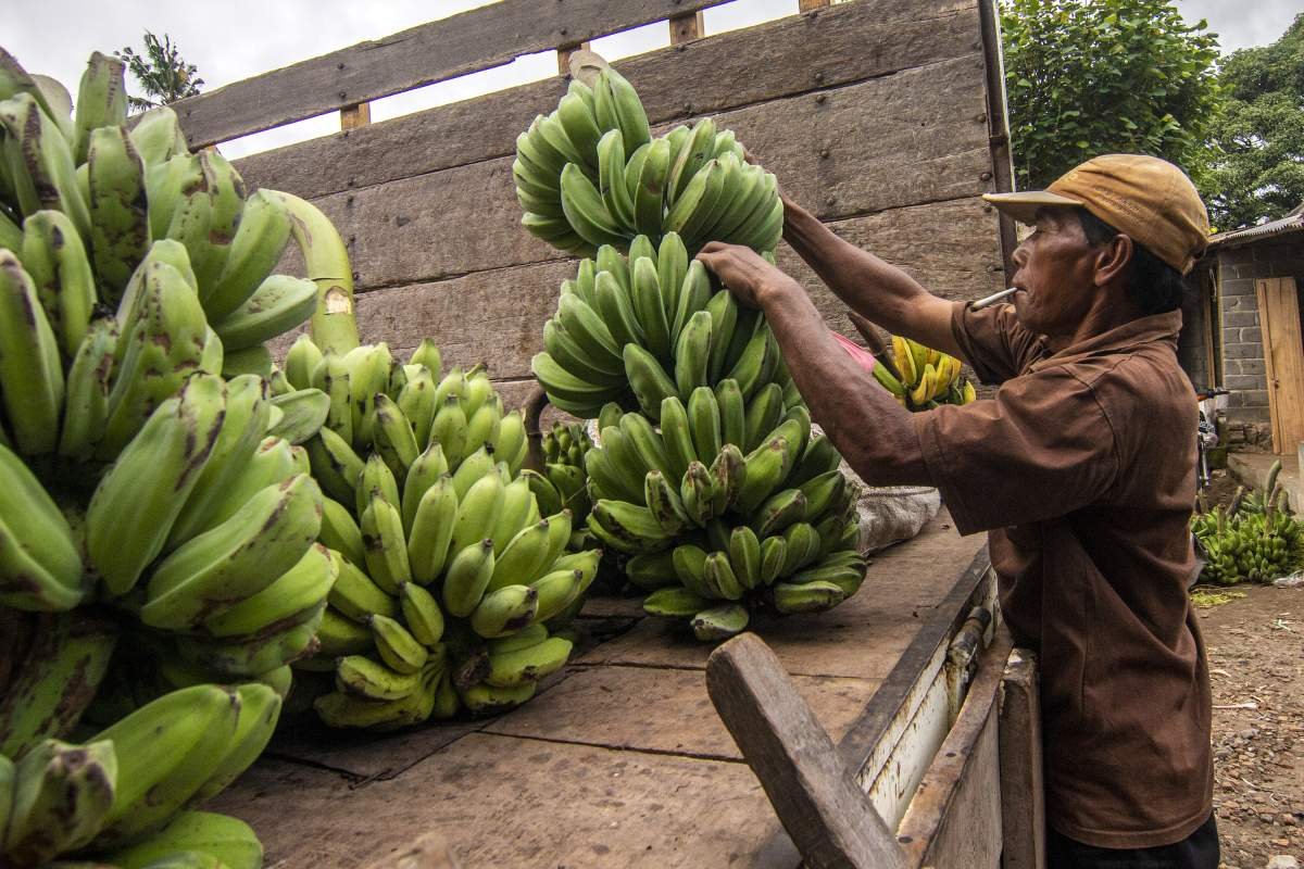 Pasar Pisang Surowono Klaten