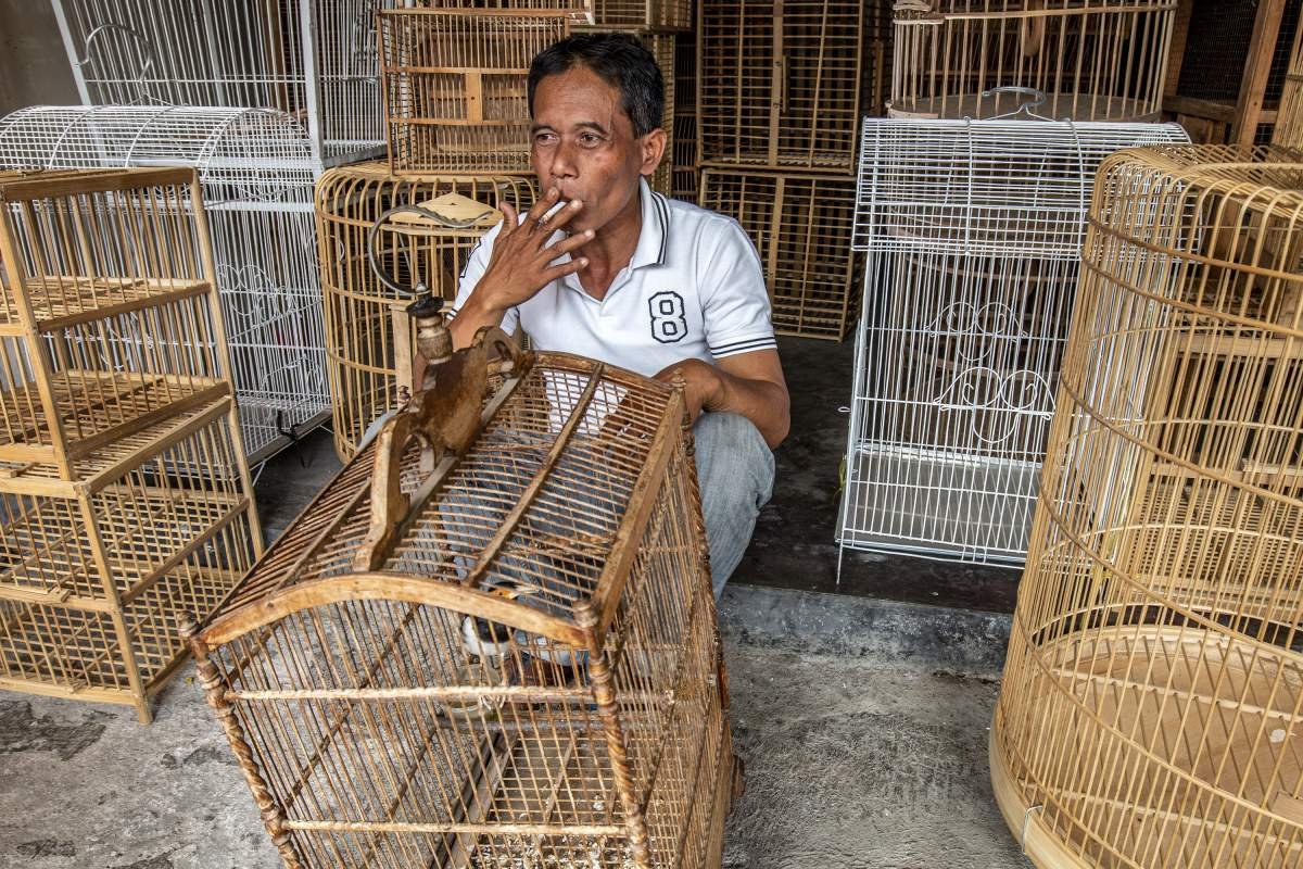 Pedagang kandang Burung 