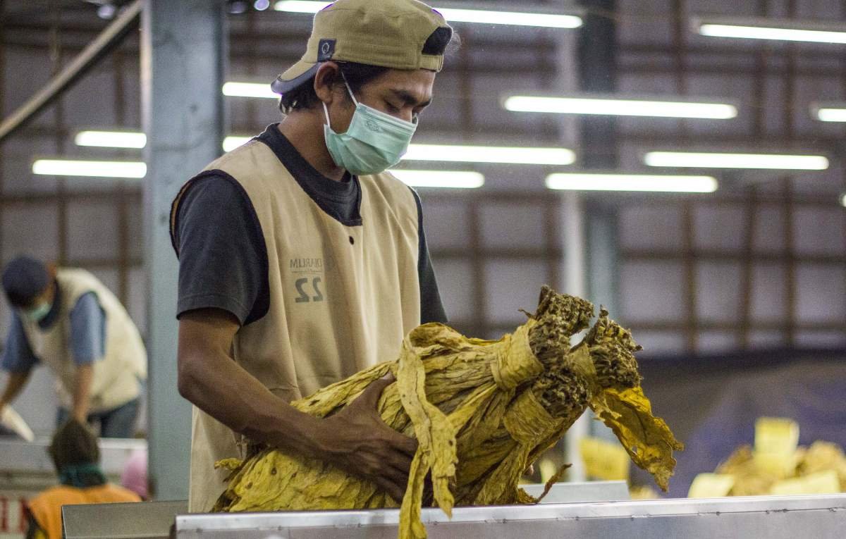 Pekerja Gudang tembakau Virginia