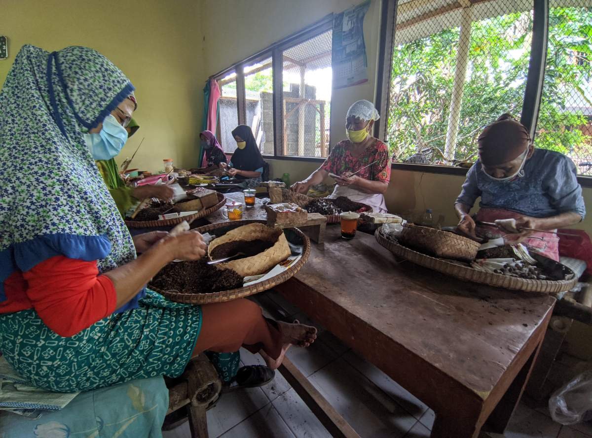 pekerja linting pabrik rokok tradisional di purworejo