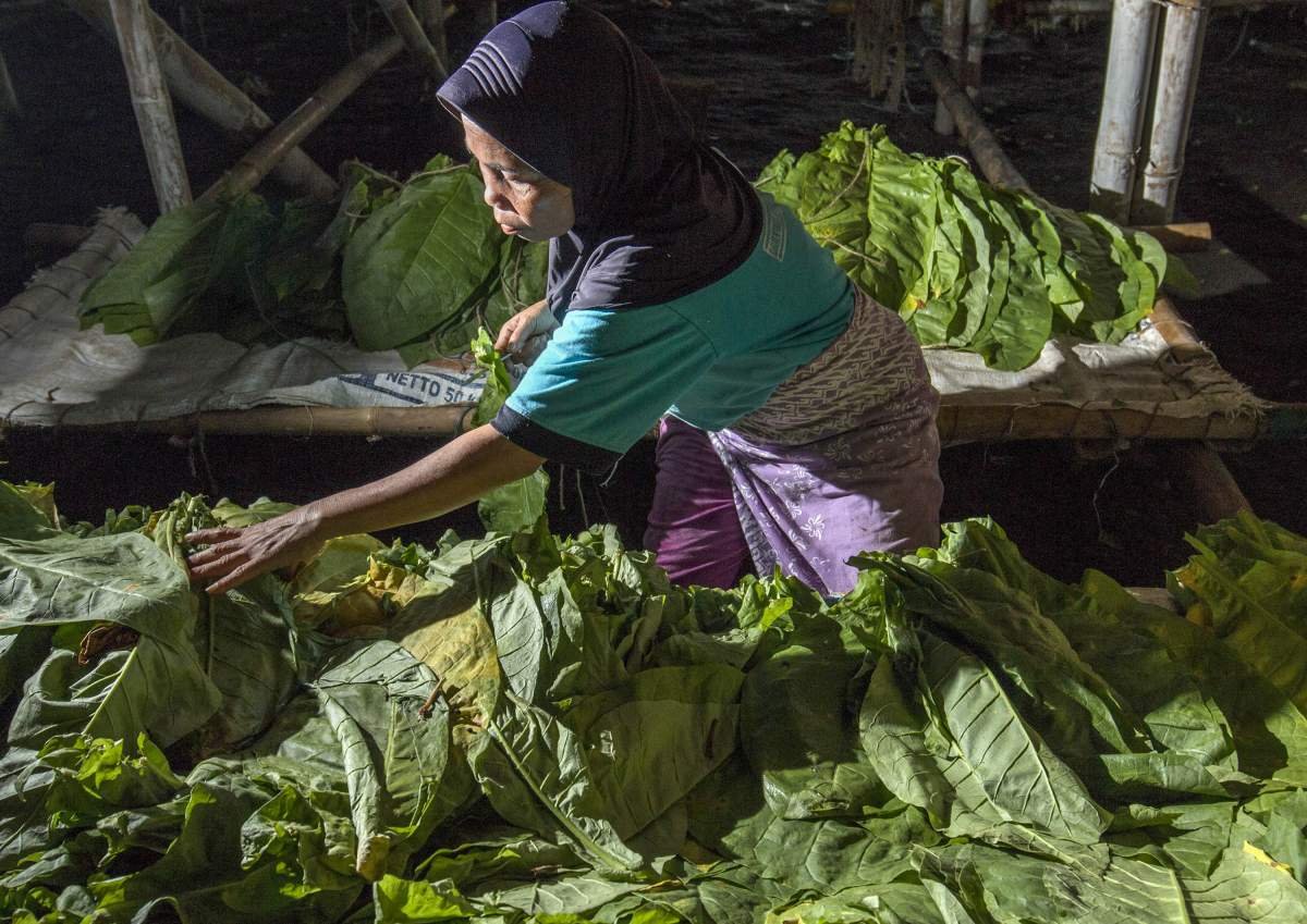Pekerja Los Tembakau di Klaten