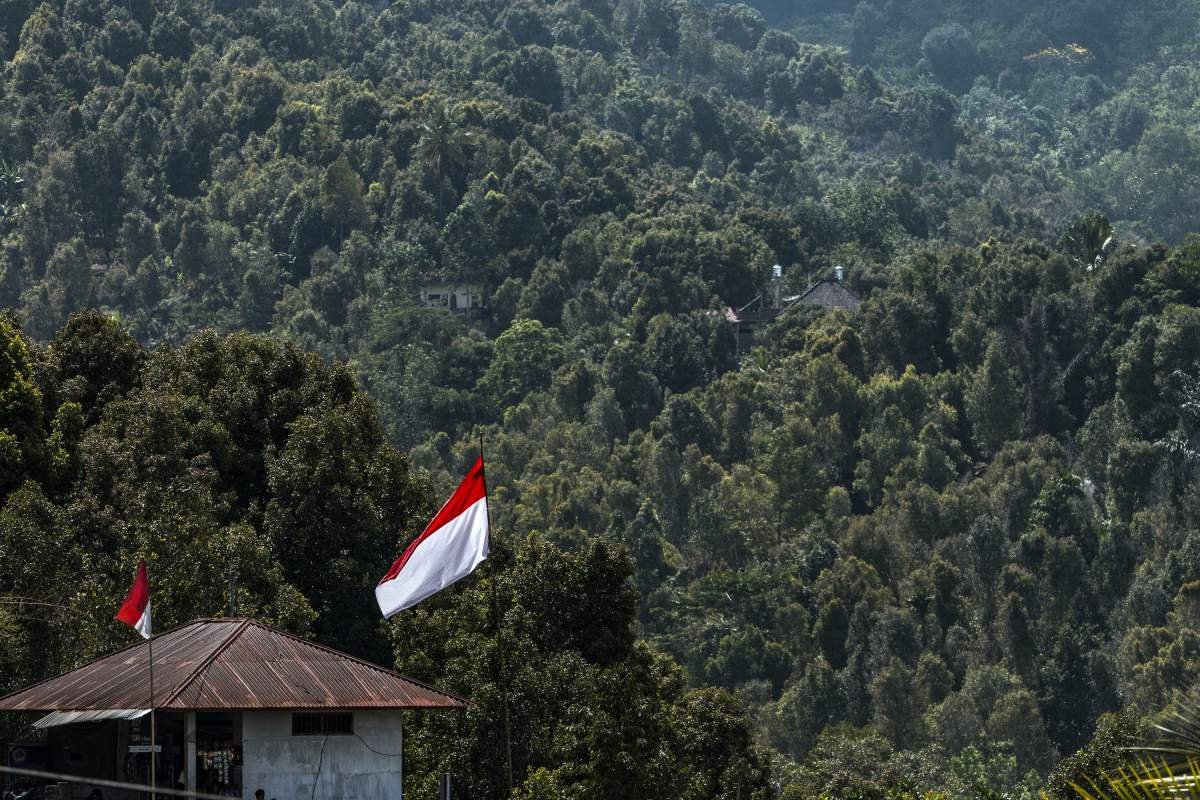 Perbukitan cengkeh di Bali