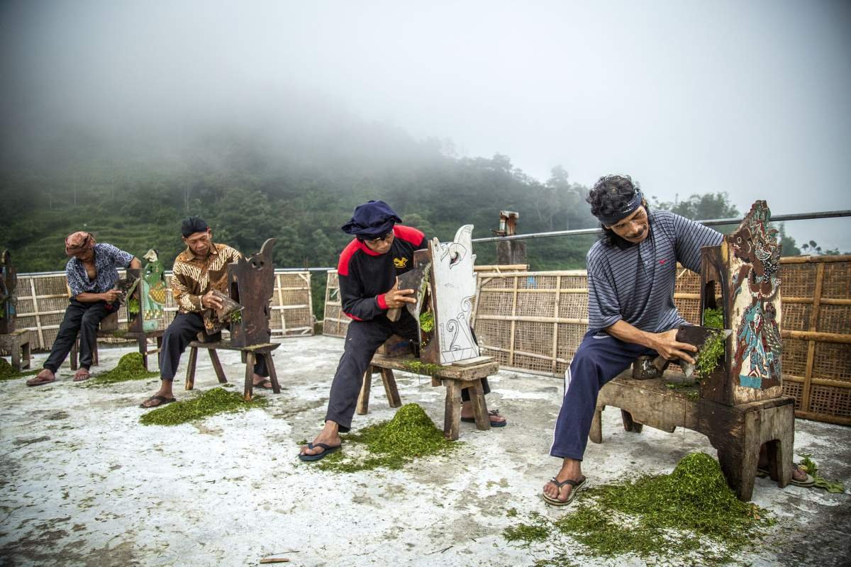 Petani bersama sama merajang tembakau secara tradisional