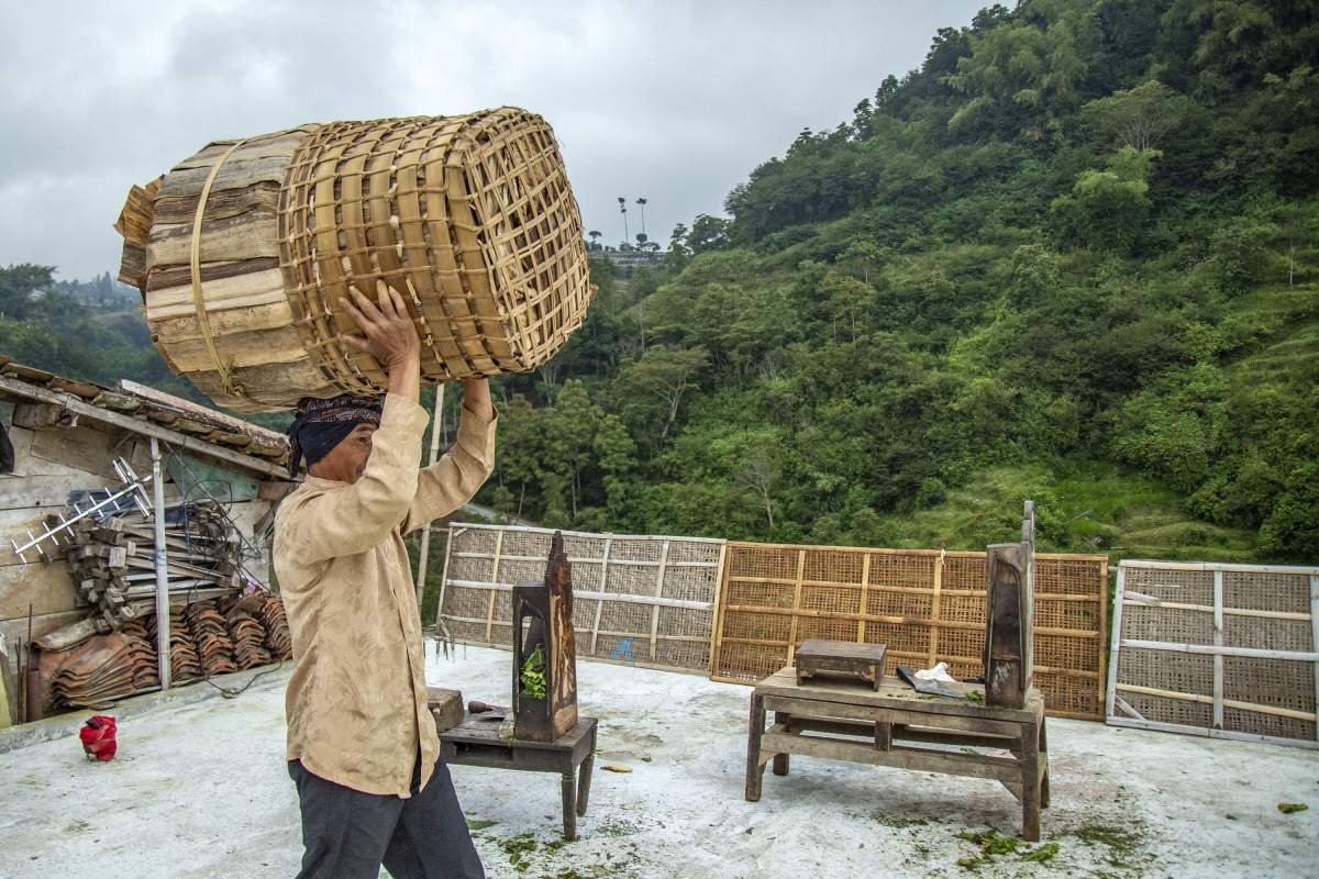 Petani di Dusun Potorono menyunggi keranjang tembakau siap kirim ke gudang pabrik rokok